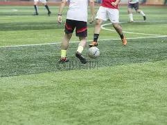 篮球,常规赛,篮网负于猛,开云体育,开云体育官网,开云体育app,开云体育平台,KAIYUN,SPORTS,kaiyun登录入口