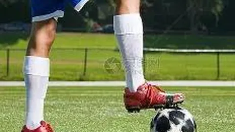 开云体育app安装 资讯 111437 hmf