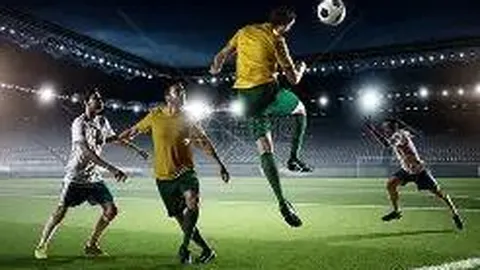 开云体育app安装 资讯 111431 y29