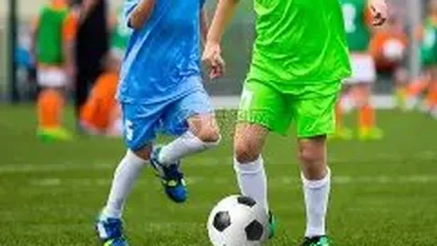 开云体育app安装 产品 112104 zr6