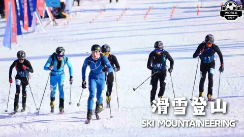 开云体育app安装 产品 093611 6zi