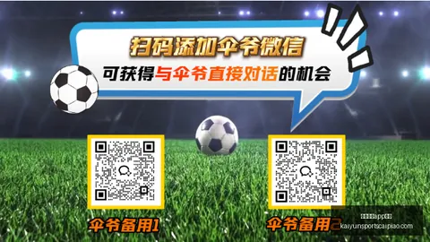 开云体育安装 131242